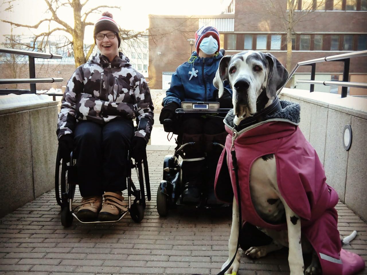 Talvisessa kaupungissa pyörätuolipoika hymyilee, vieressään toinen sähköpyörätuolissa ja molempien edessä jättilaismäinen tanskandoggi.